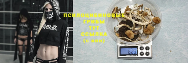 скорость Алзамай