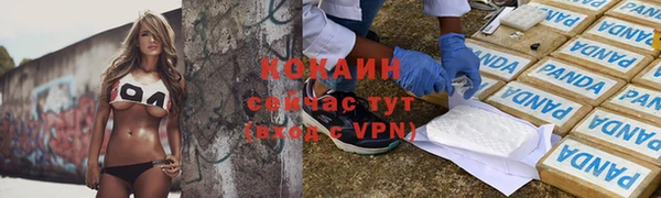 твердый Алексин