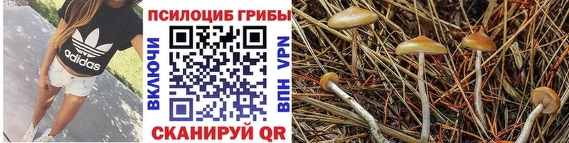 Псилоцибиновые грибы MAGIC MUSHROOMS  Верхоянск 